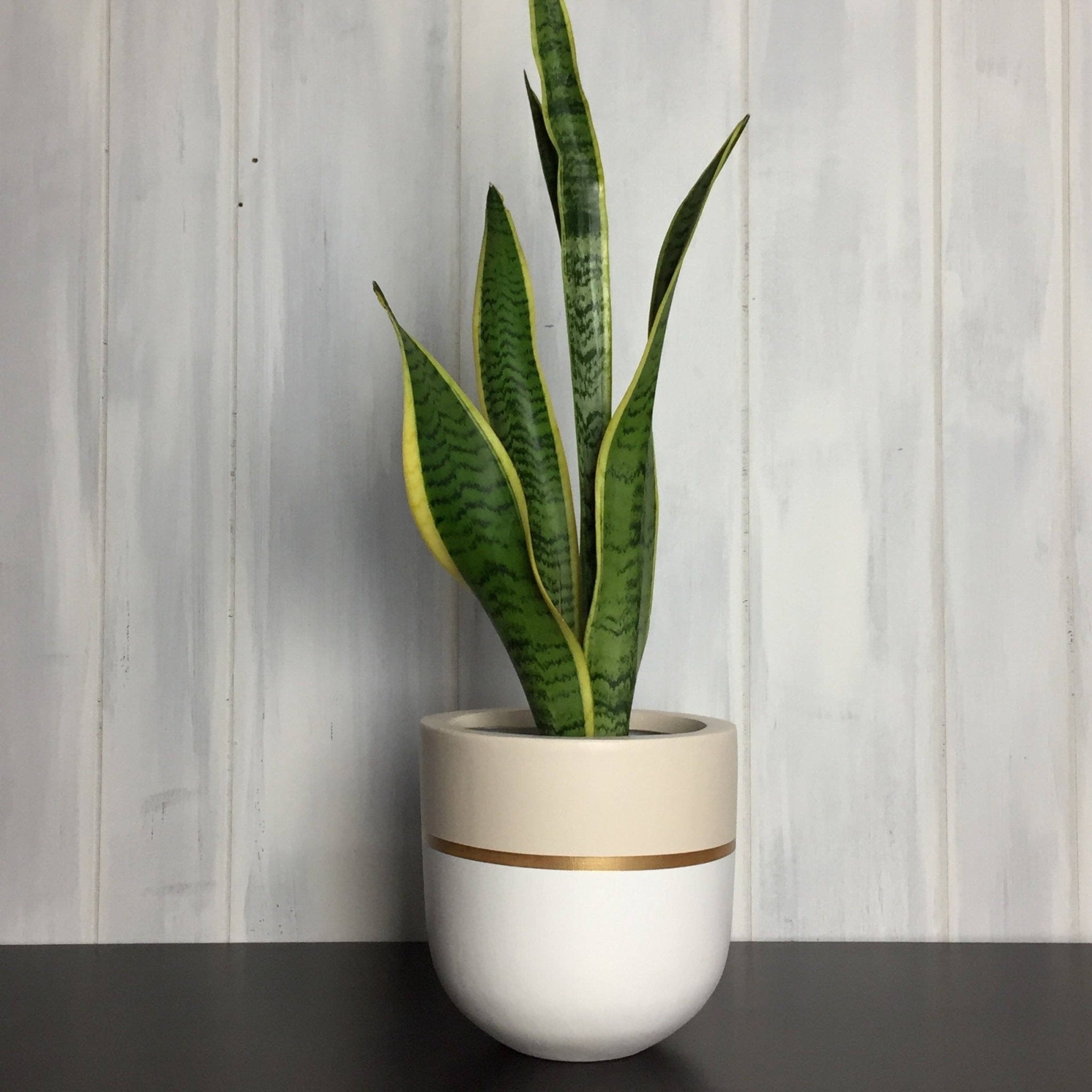 GALA POT | PLANTER - Free Living Co