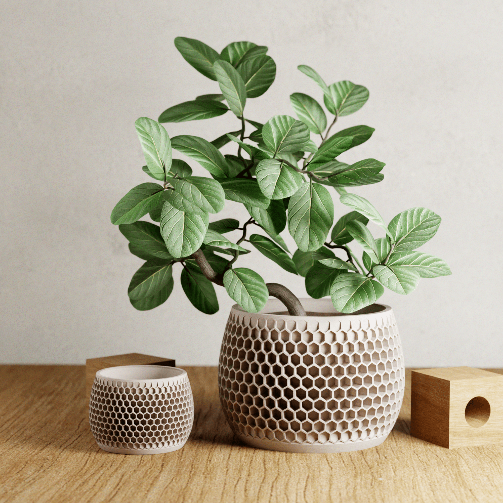 HONEYCOMB Planter - Free Living Co