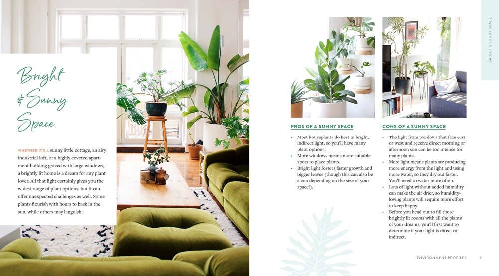 Houseplants for All: Danae Horst - Free Living Co