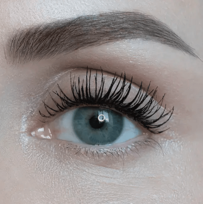 Levitation Lash - Free Living Co