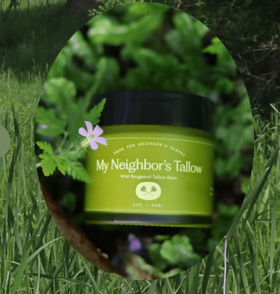 My Neighbor's Tallow Balm - Wild Bergamot - Free Living Co
