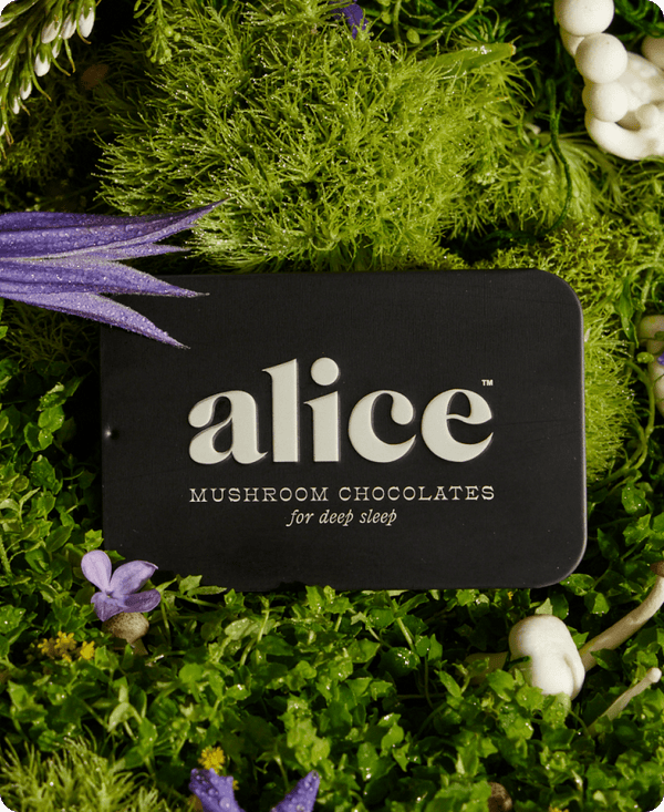 Nightcap — mushroom chocolates for deep sleep - Free Living Co