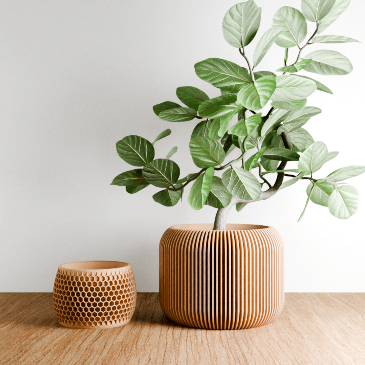 ORBIS Planter - Free Living Co