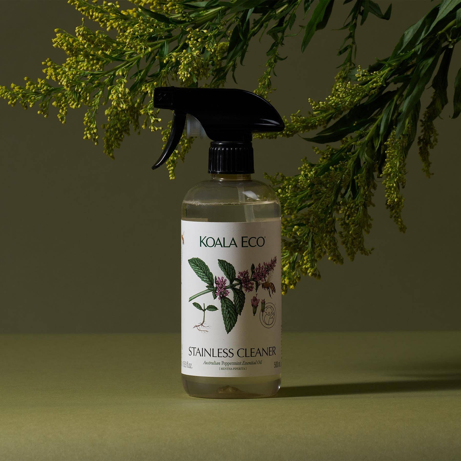 Peppermint Stainless Steel Cleaner - Free Living Co