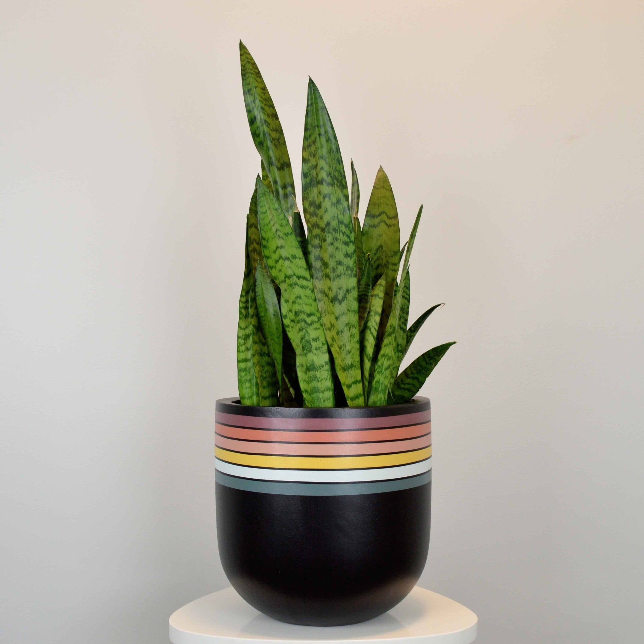 RETRO POT | PLANTER - Free Living Co