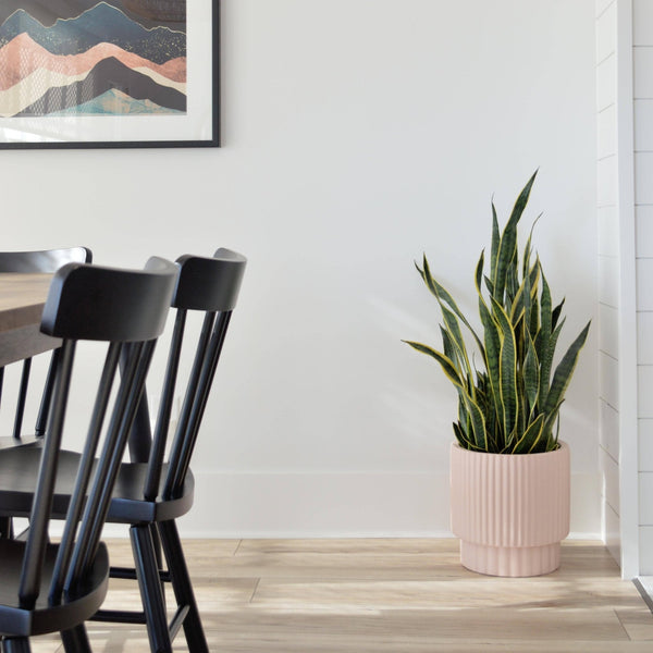RIDGED CYLINDER POT | PLANTER - Free Living Co