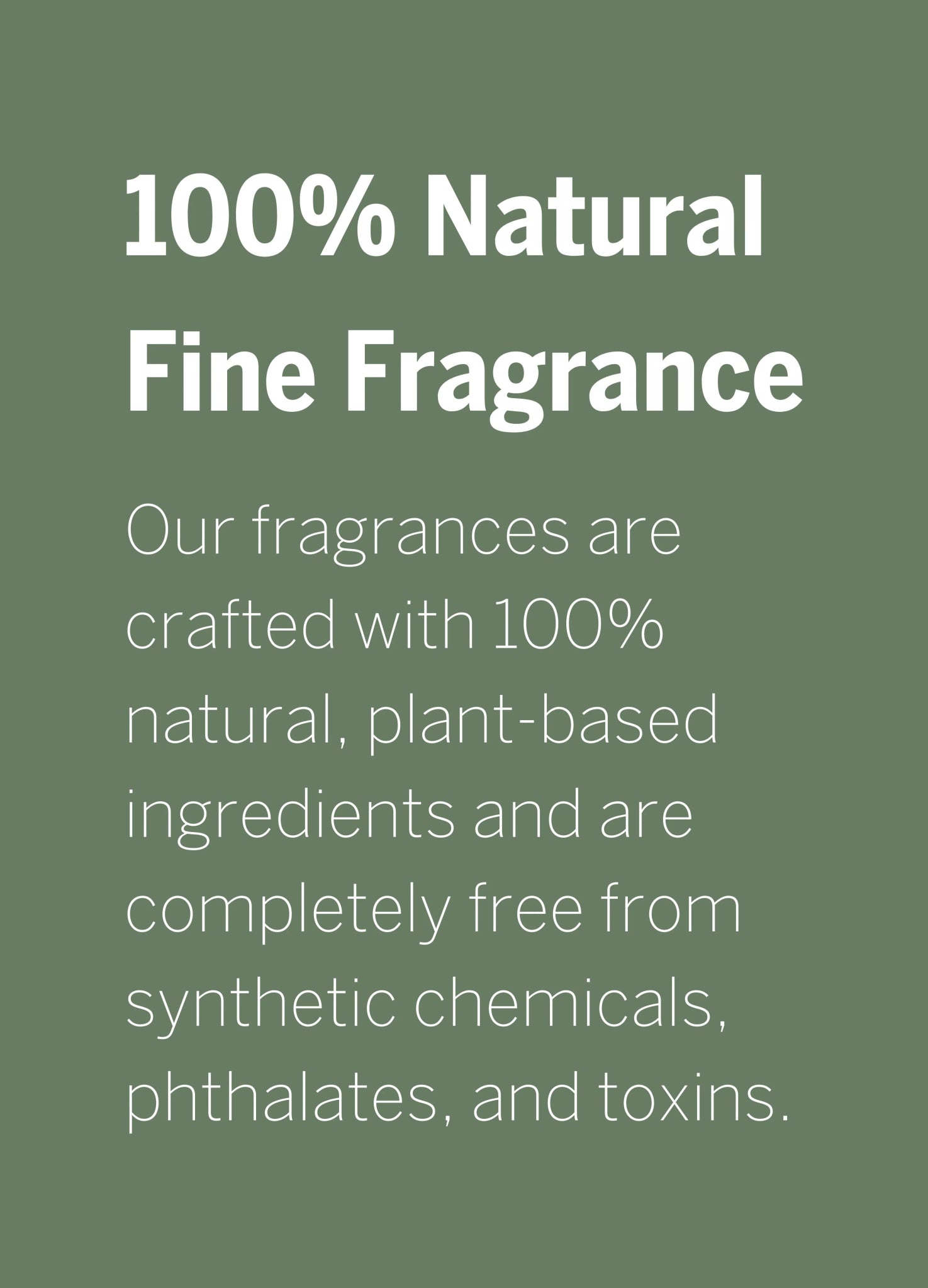 Wyld Notes - Free Living Co